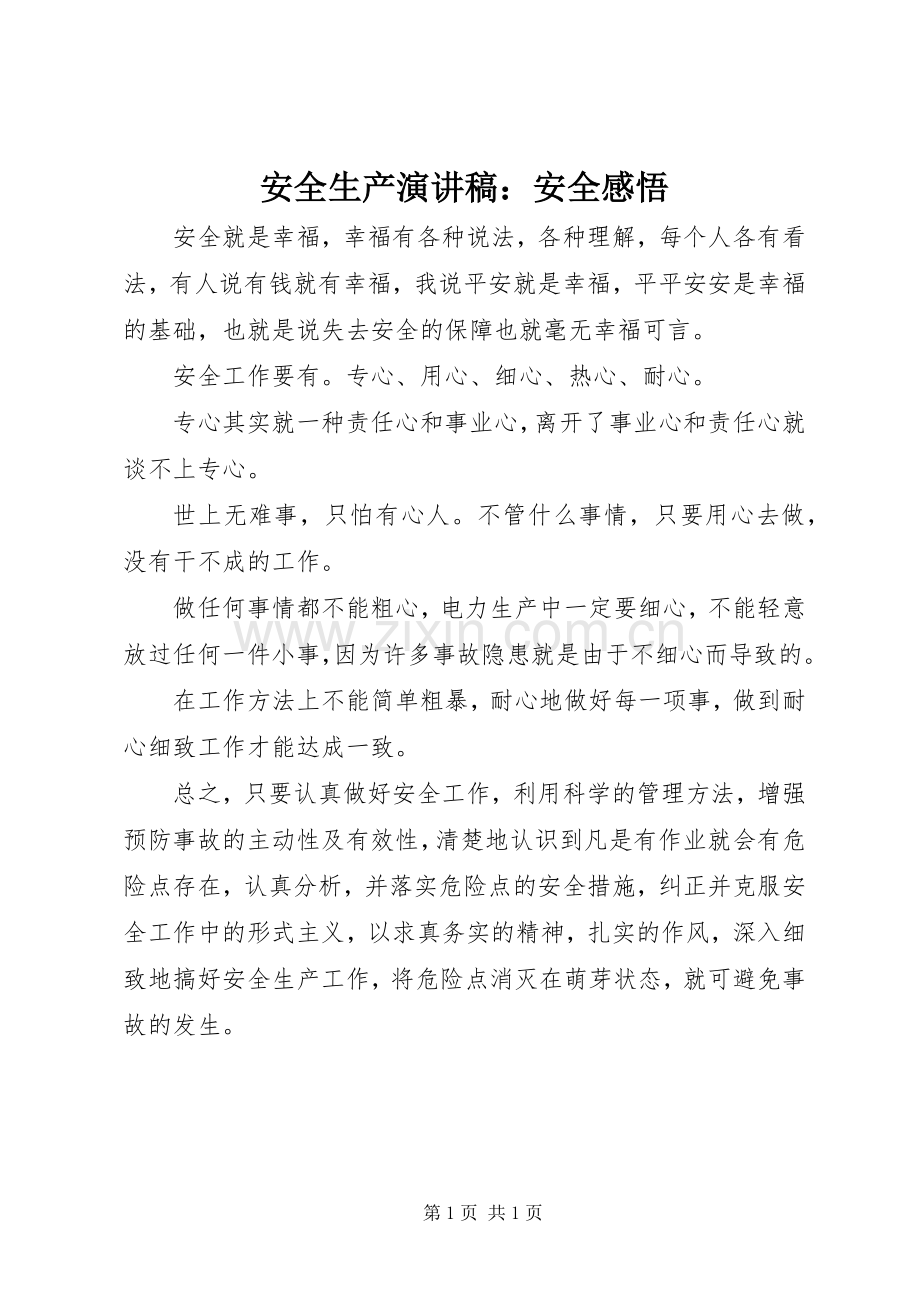 安全生产演讲稿：安全感悟.docx_第1页