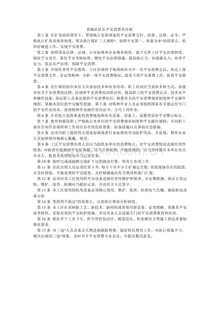普掘队队长安全生产责任制.doc_第1页