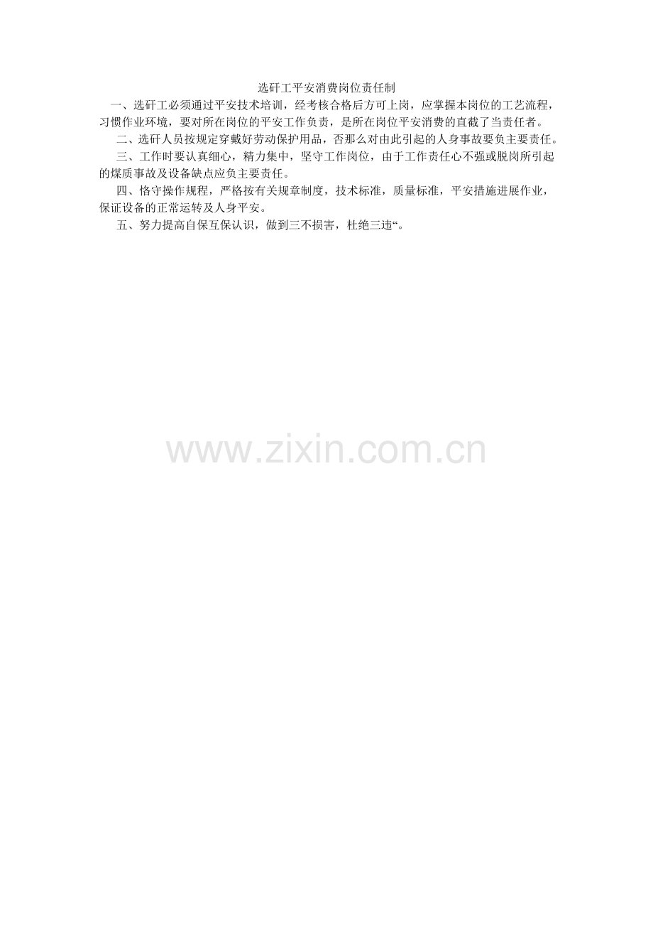 选矸工安全生产岗位责任制.doc_第1页