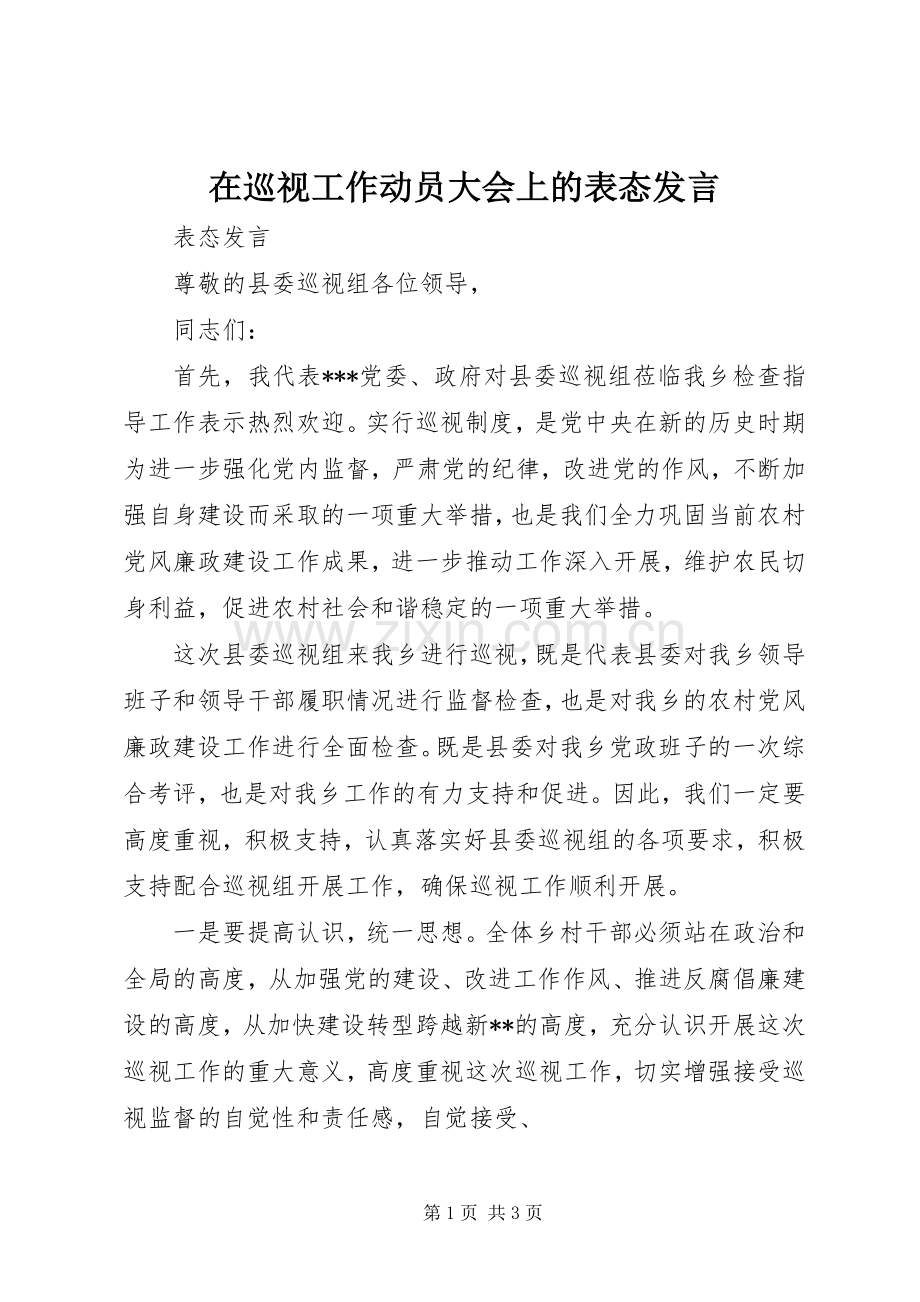 在巡视工作动员大会上的表态发言稿.docx_第1页