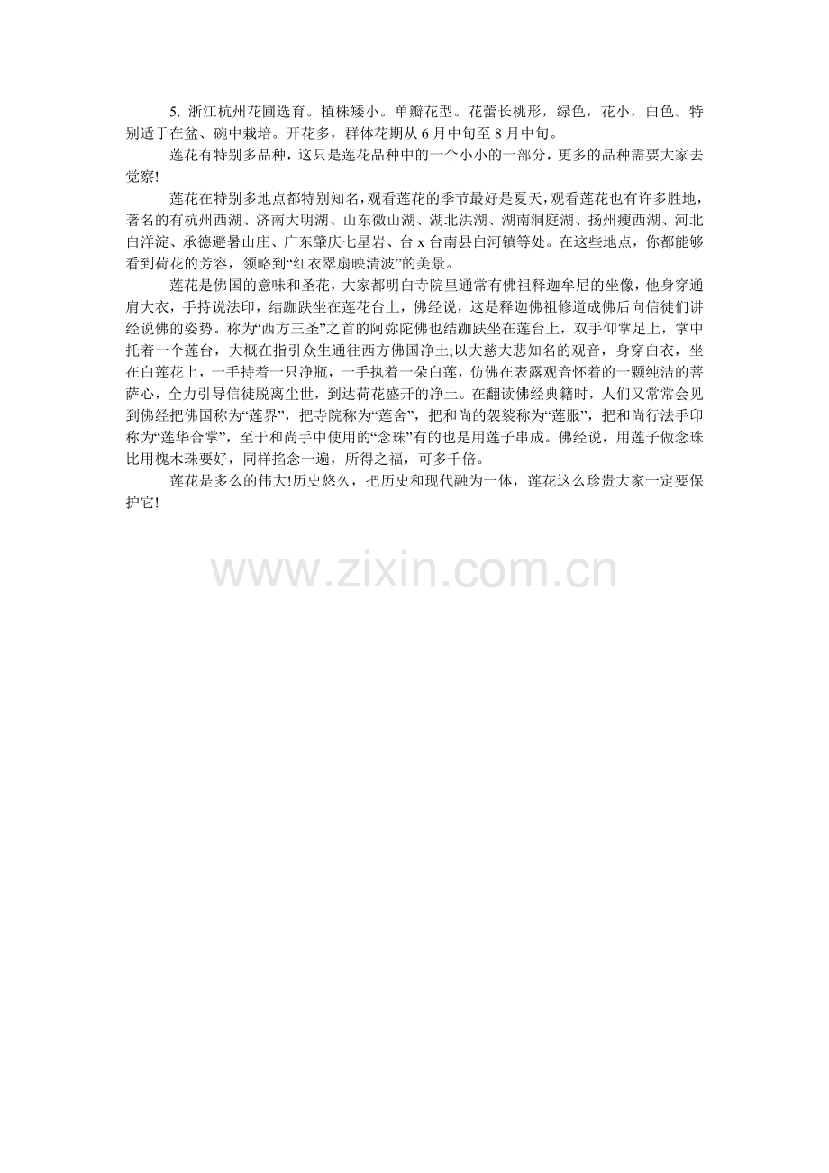 作文莲ۥ文化的魅力.doc_第2页