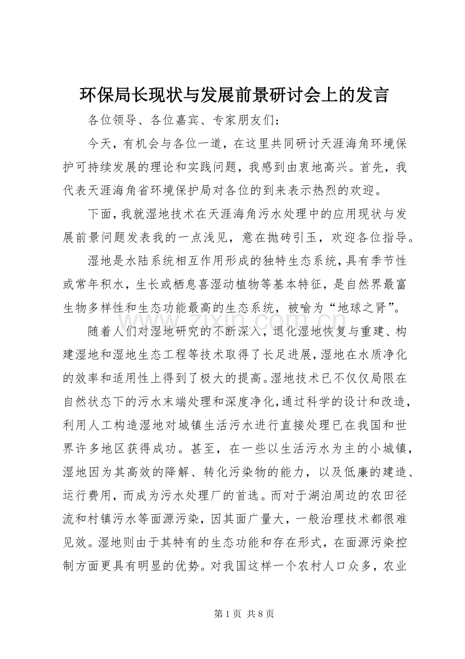 环保局长现状与发展前景研讨会上的发言稿.docx_第1页