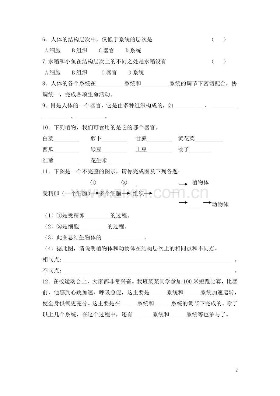 第四章第二节多细胞生物体的组成.doc_第2页