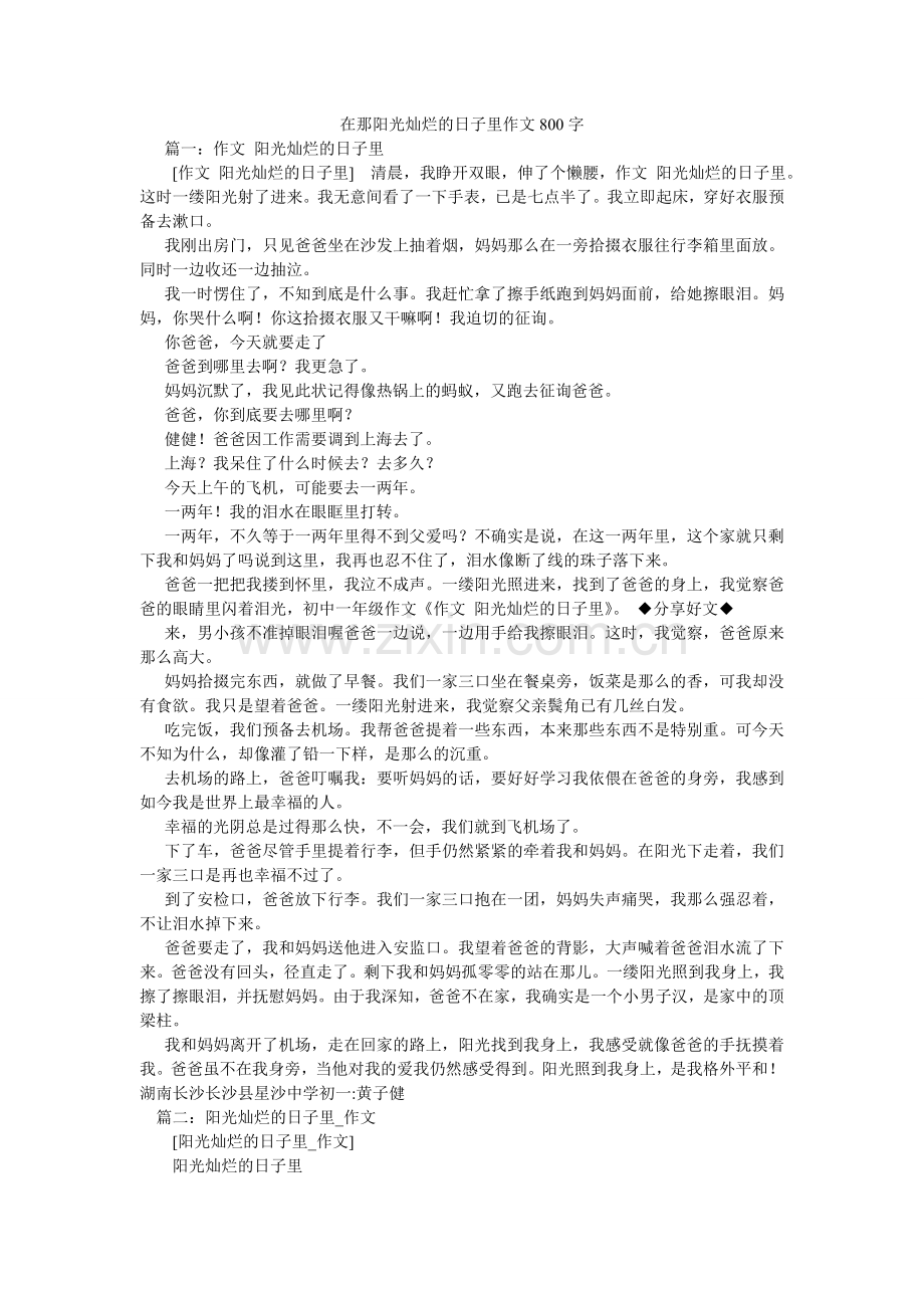 在那阳ۥ光灿烂的日子里作文800字.doc_第1页