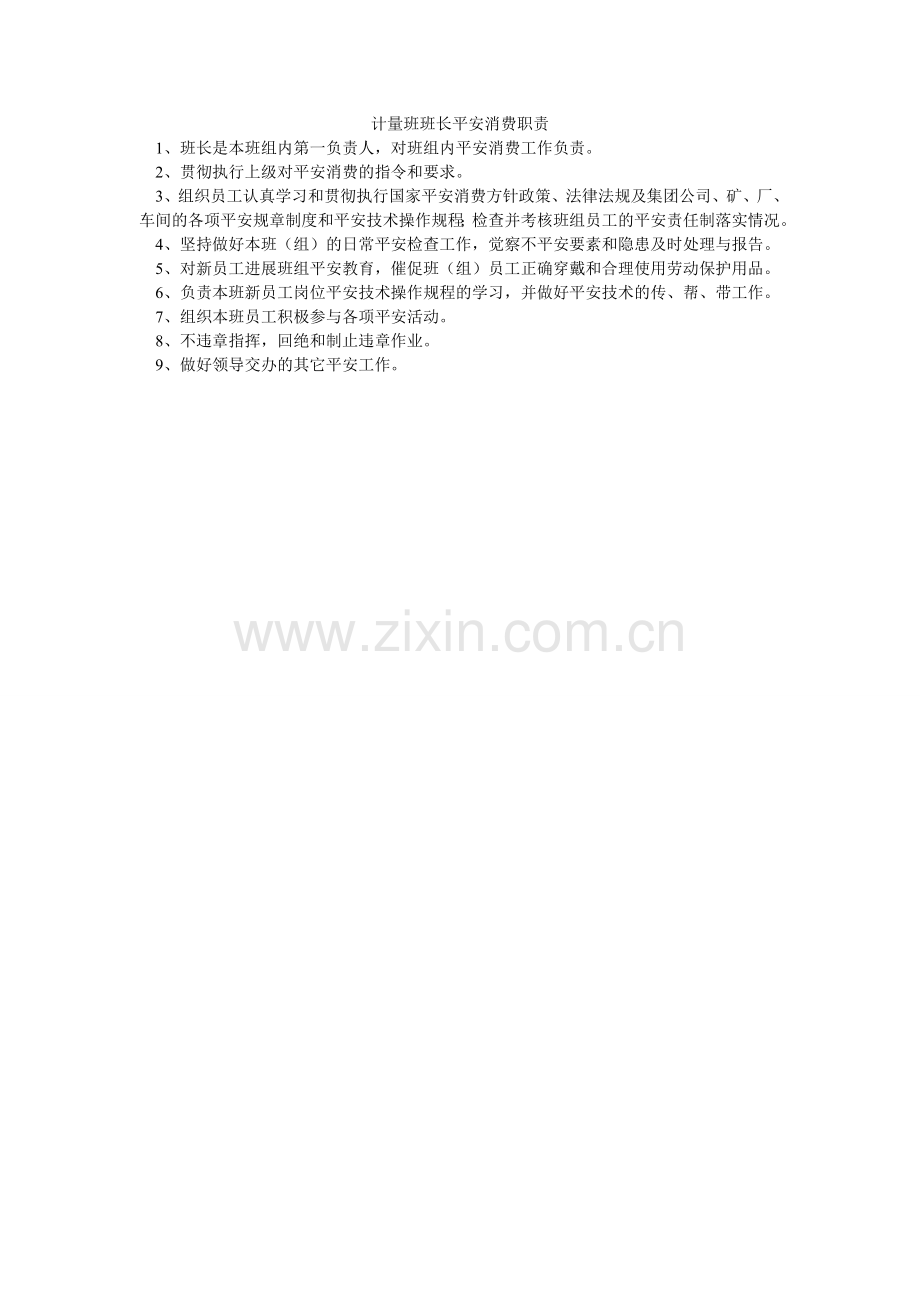 计量班班长安全生产职责.doc_第1页