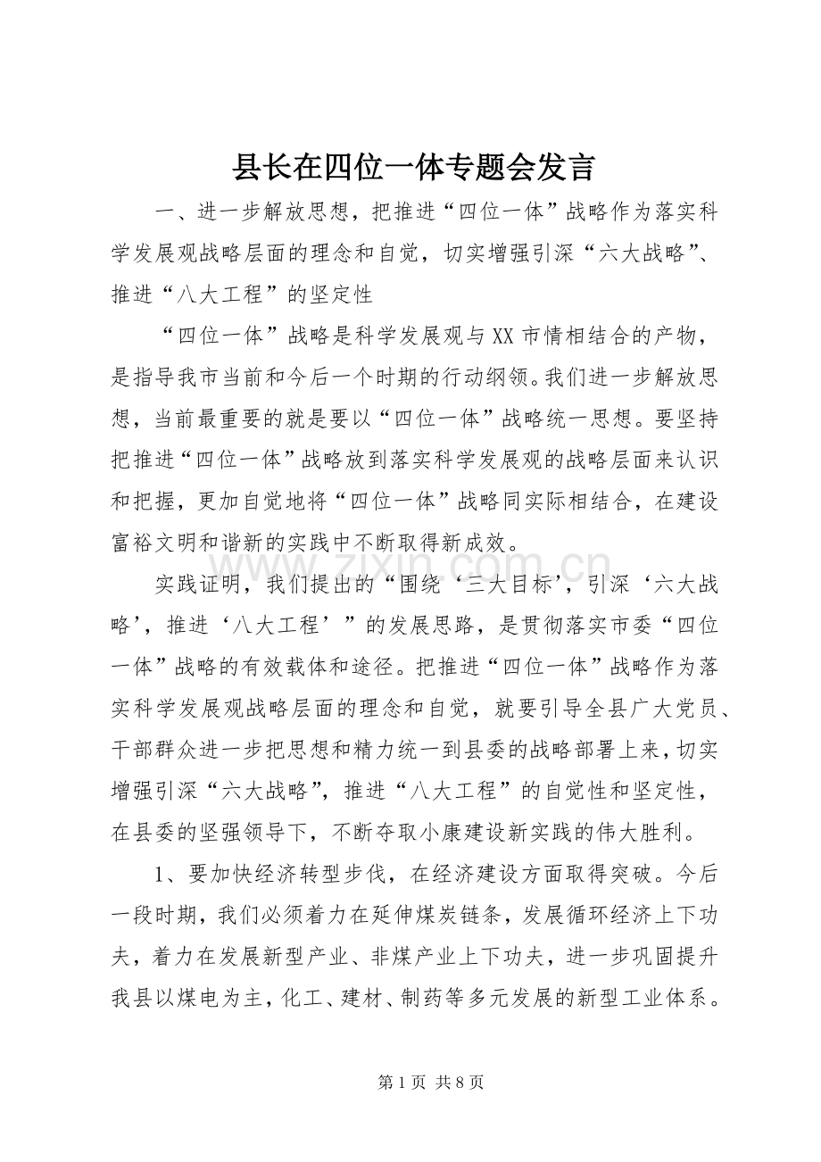县长在四位一体专题会发言.docx_第1页