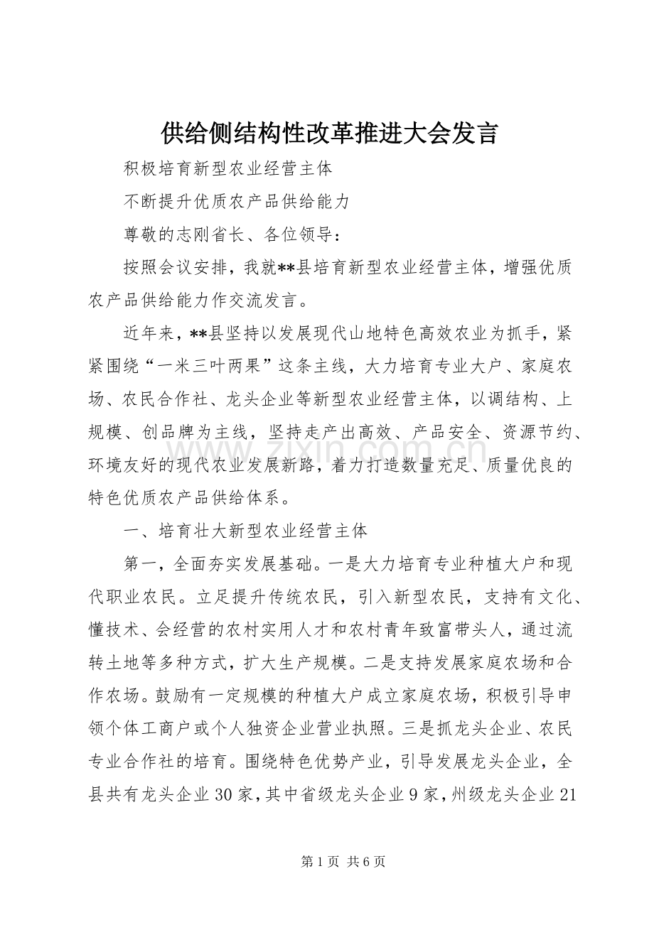 供给侧结构性改革推进大会发言稿.docx_第1页