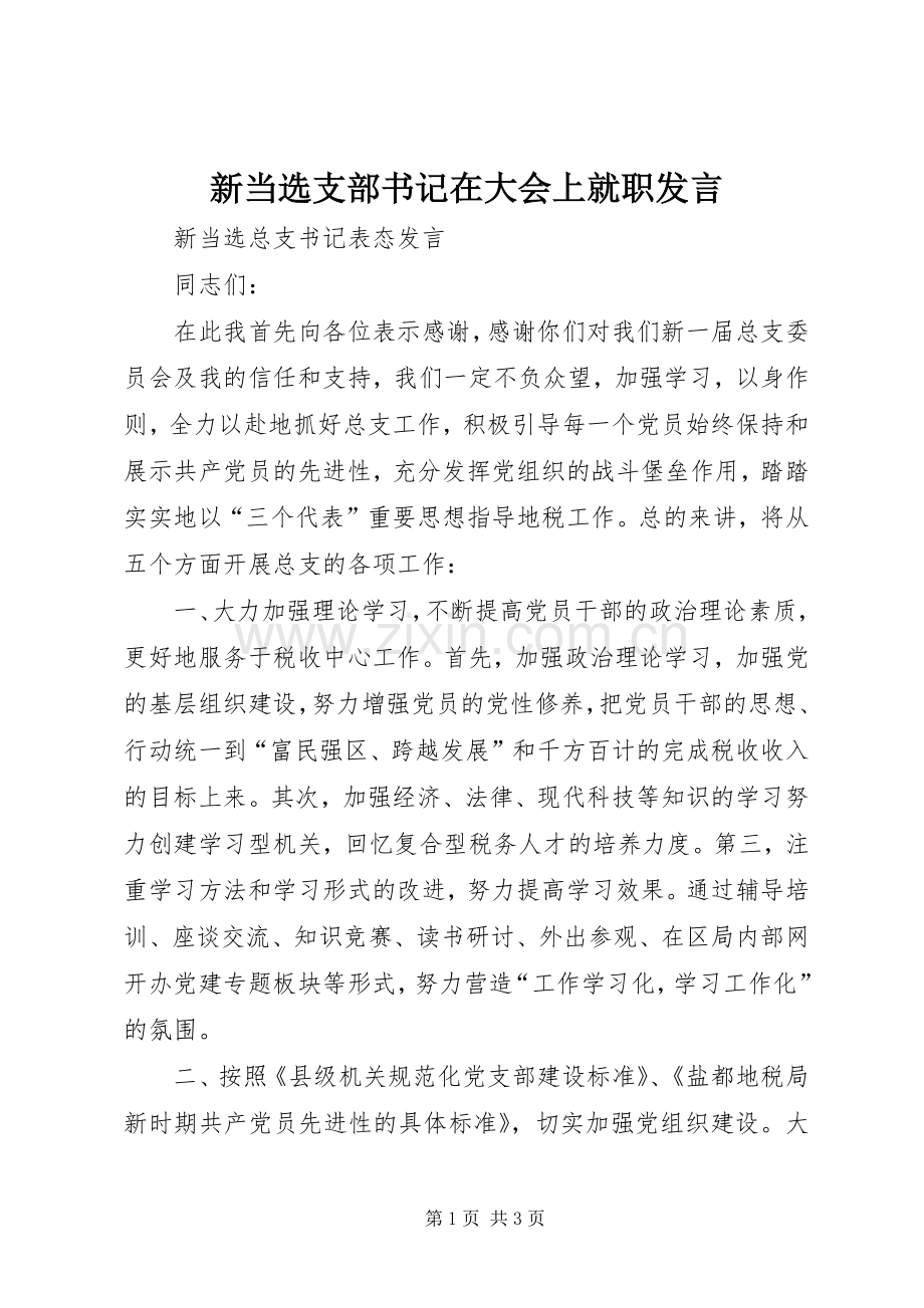 新当选支部书记在大会上就职发言稿 (2).docx_第1页