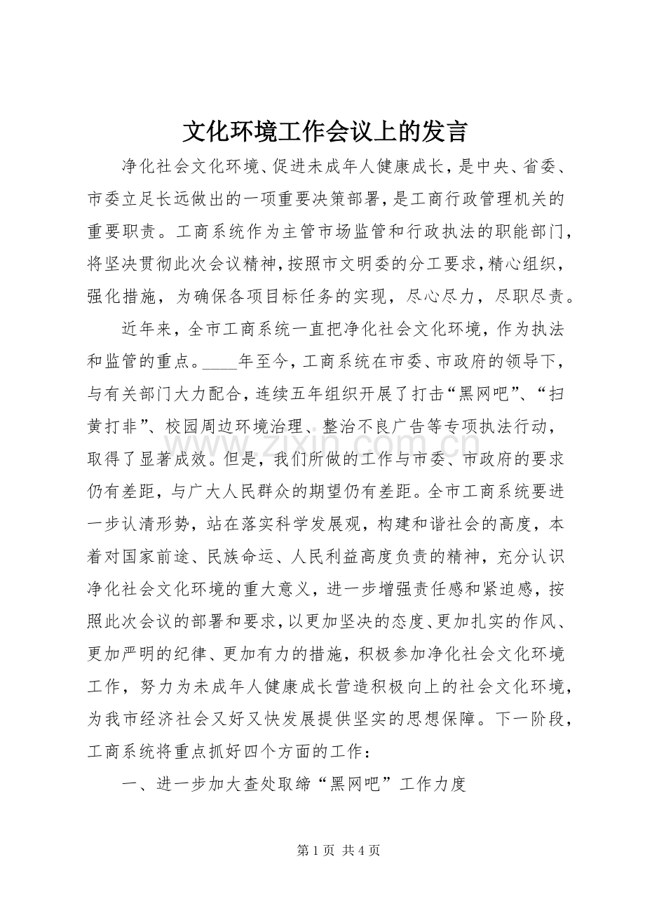 文化环境工作会议上的发言.docx_第1页