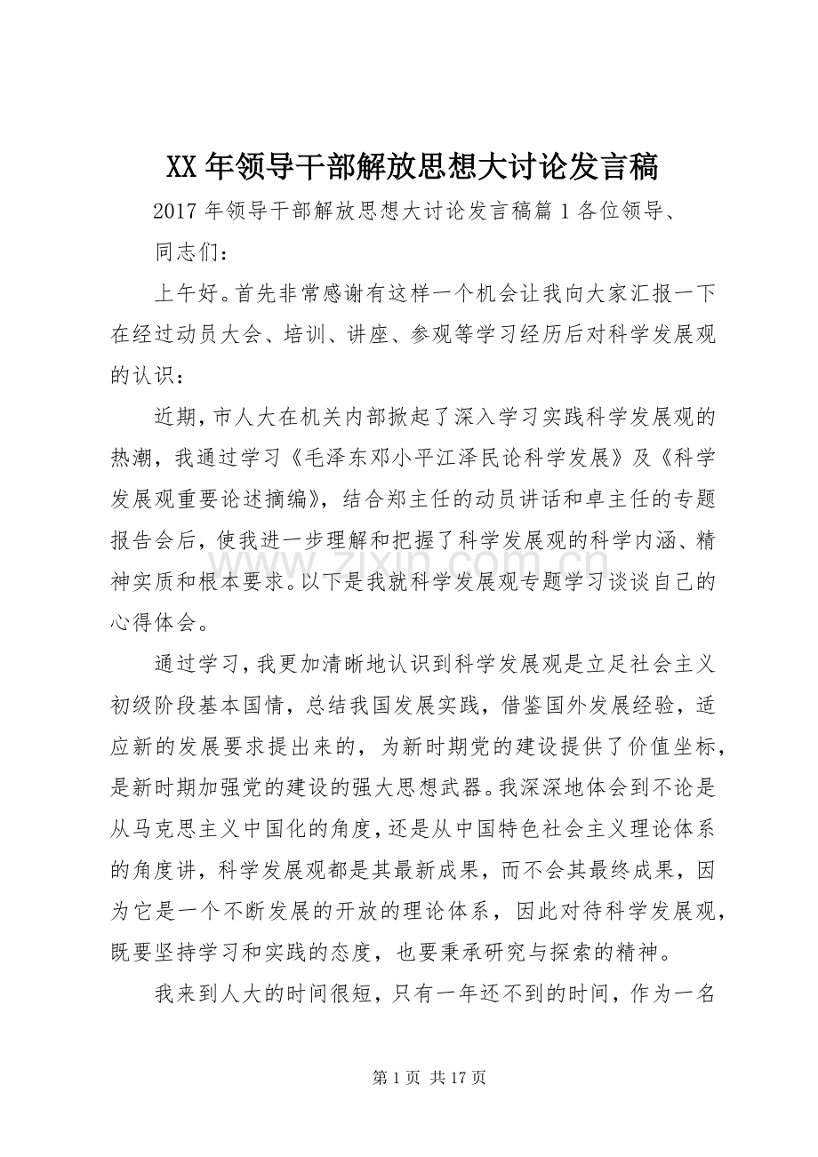 XX年领导干部解放思想大讨论发言.docx_第1页