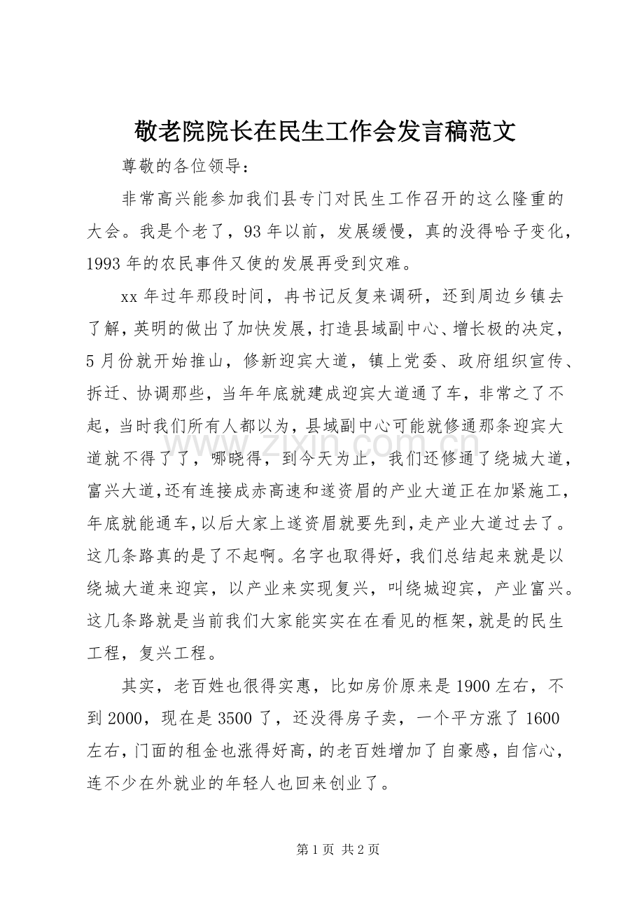 敬老院院长在民生工作会发言范文.docx_第1页
