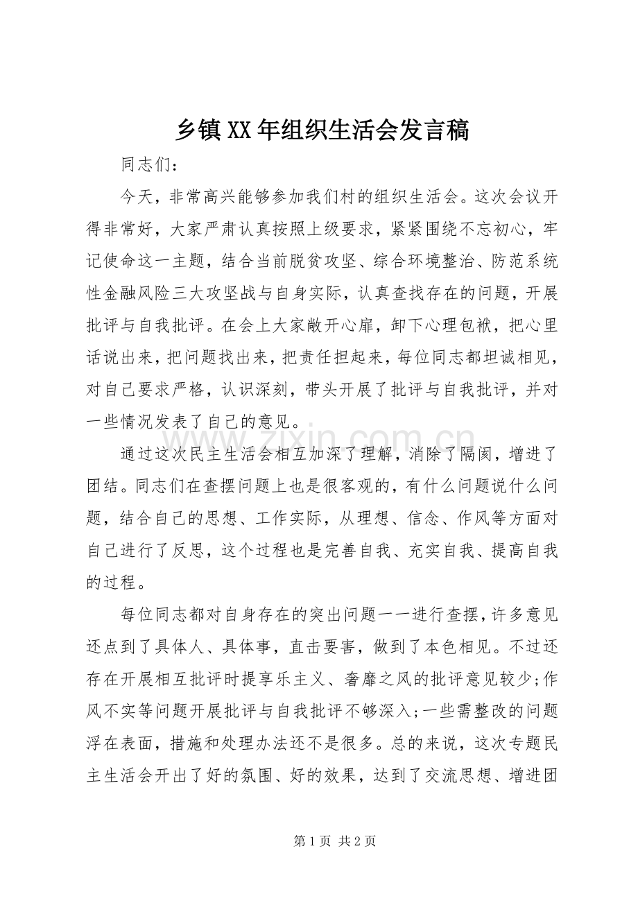 乡镇XX年组织生活会发言 (2).docx_第1页