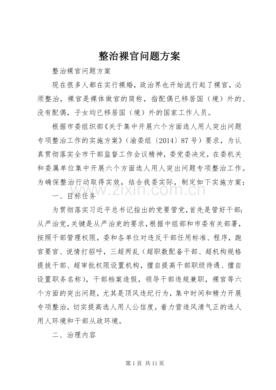 整治裸官问题实施方案 .docx_第1页