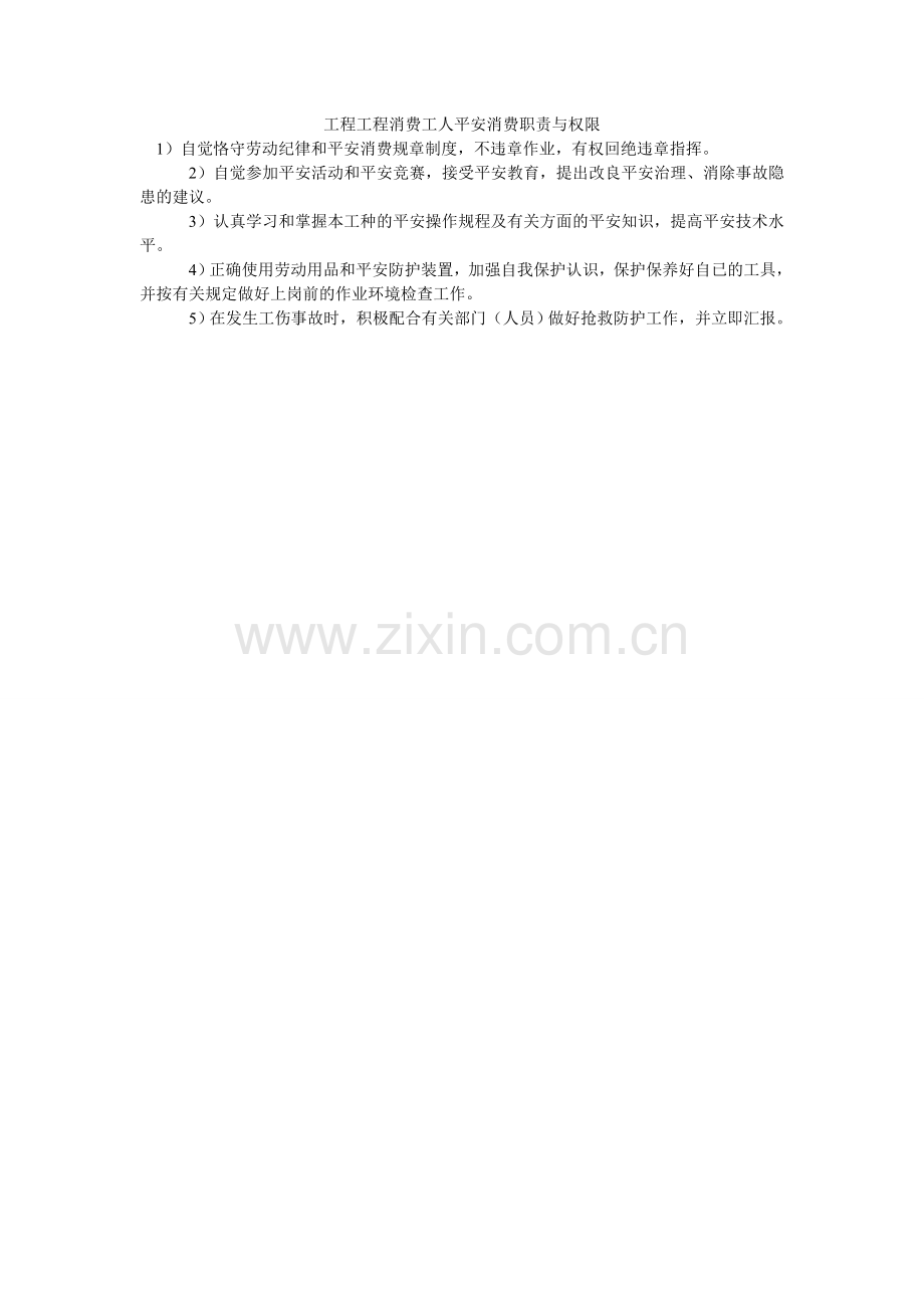 工程项目生产工人安全生产职责与权限.doc_第1页
