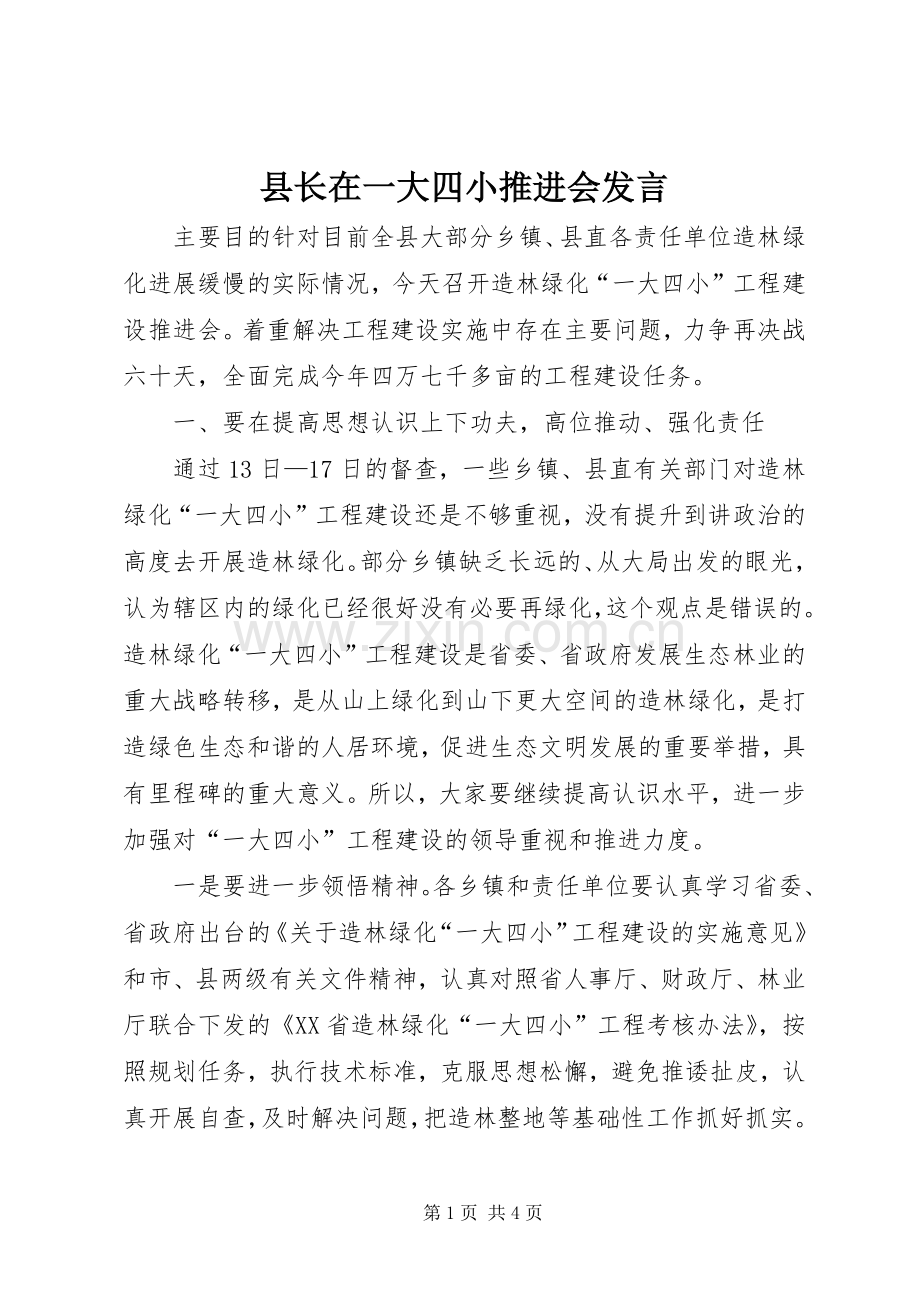 县长在一大四小推进会发言稿.docx_第1页