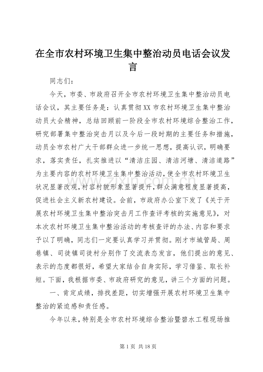 在全市农村环境卫生集中整治动员电话会议发言稿.docx_第1页