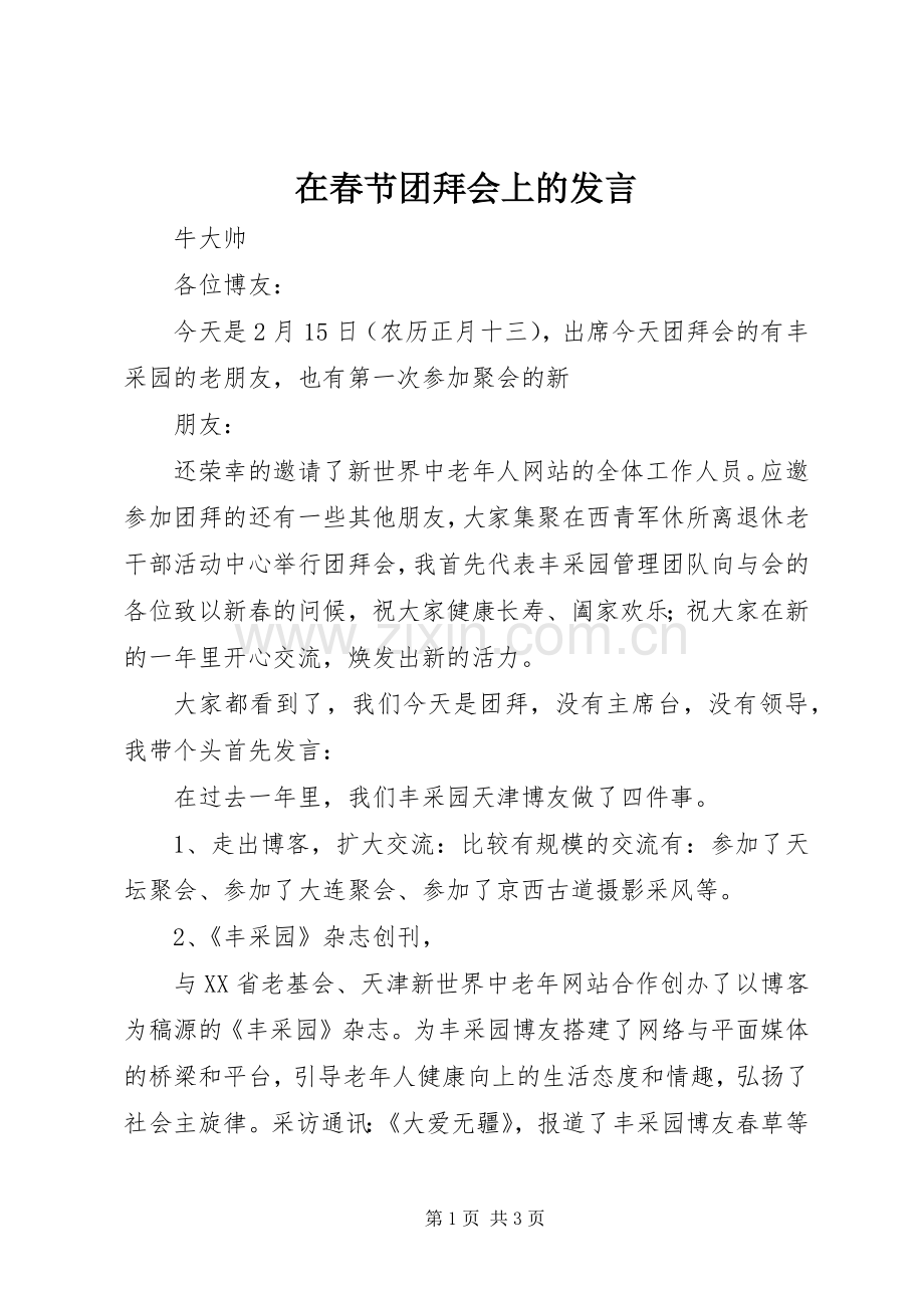 在春节团拜会上的发言.docx_第1页