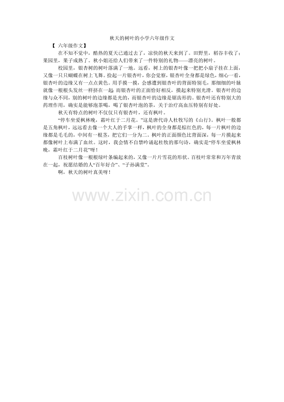 秋天的树叶的小学六年级作文.doc_第1页