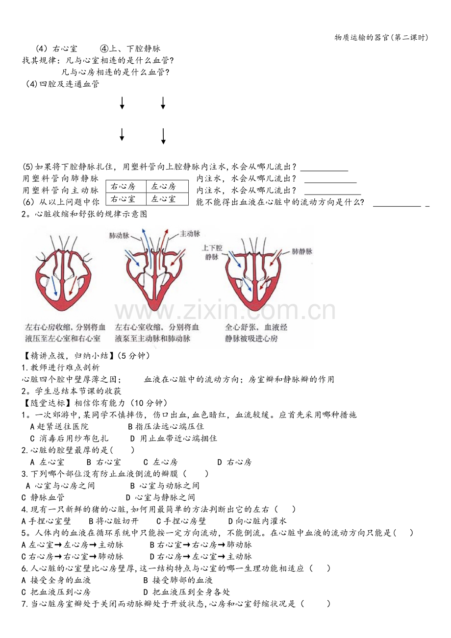 物质运输的器官(第二课时).doc_第2页