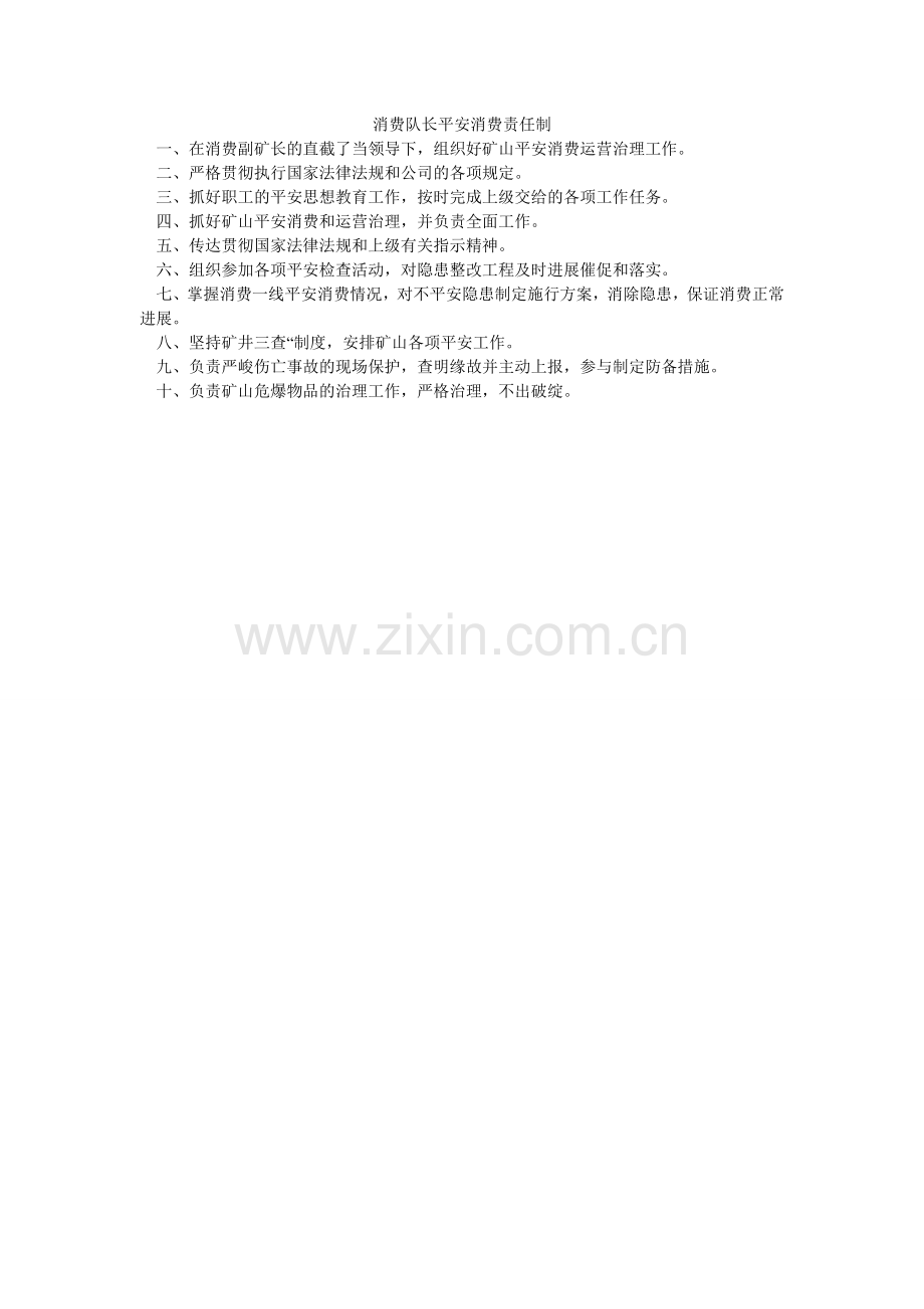 生产队ۥ长安全生产责任制.doc_第1页