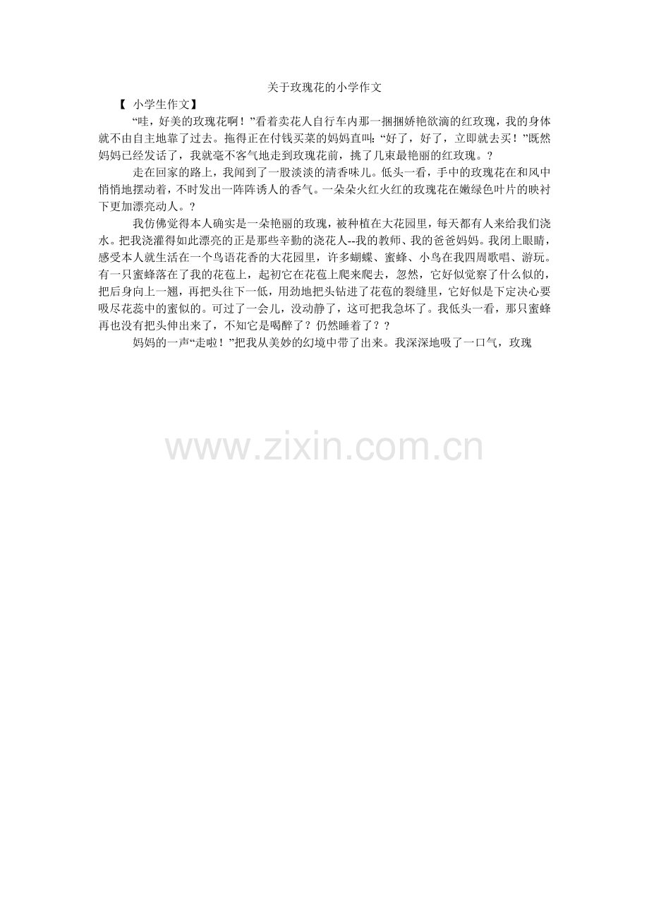 关于玫瑰花的小学作文.doc_第1页