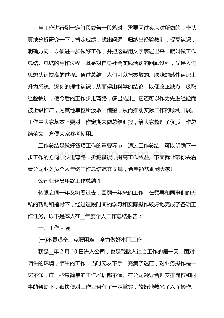 公司业务员个人年终工作总结.doc_第1页
