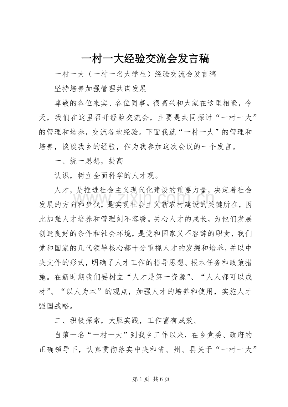 一村一大经验交流会发言稿范文.docx_第1页