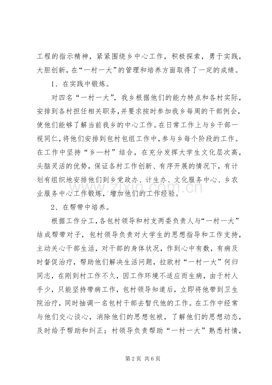 一村一大经验交流会发言稿范文.docx_第2页