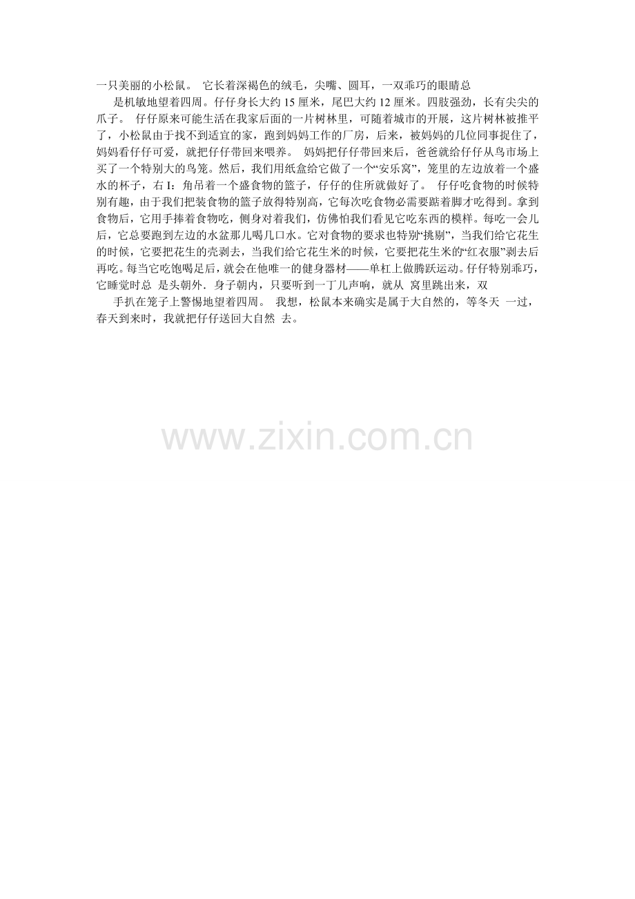 小松鼠摘松果的相关作文.doc_第2页