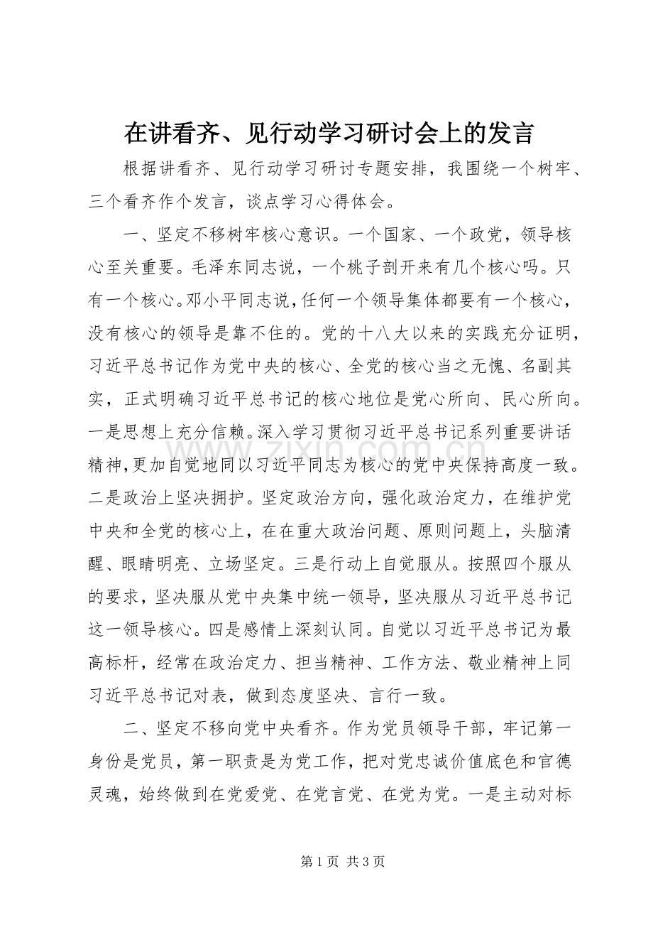 在讲看齐、见行动学习研讨会上的发言稿.docx_第1页