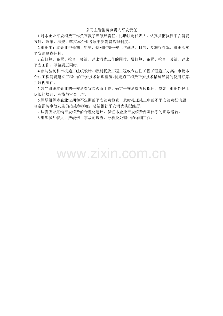 公司主管生产负责人安全责任.doc_第1页