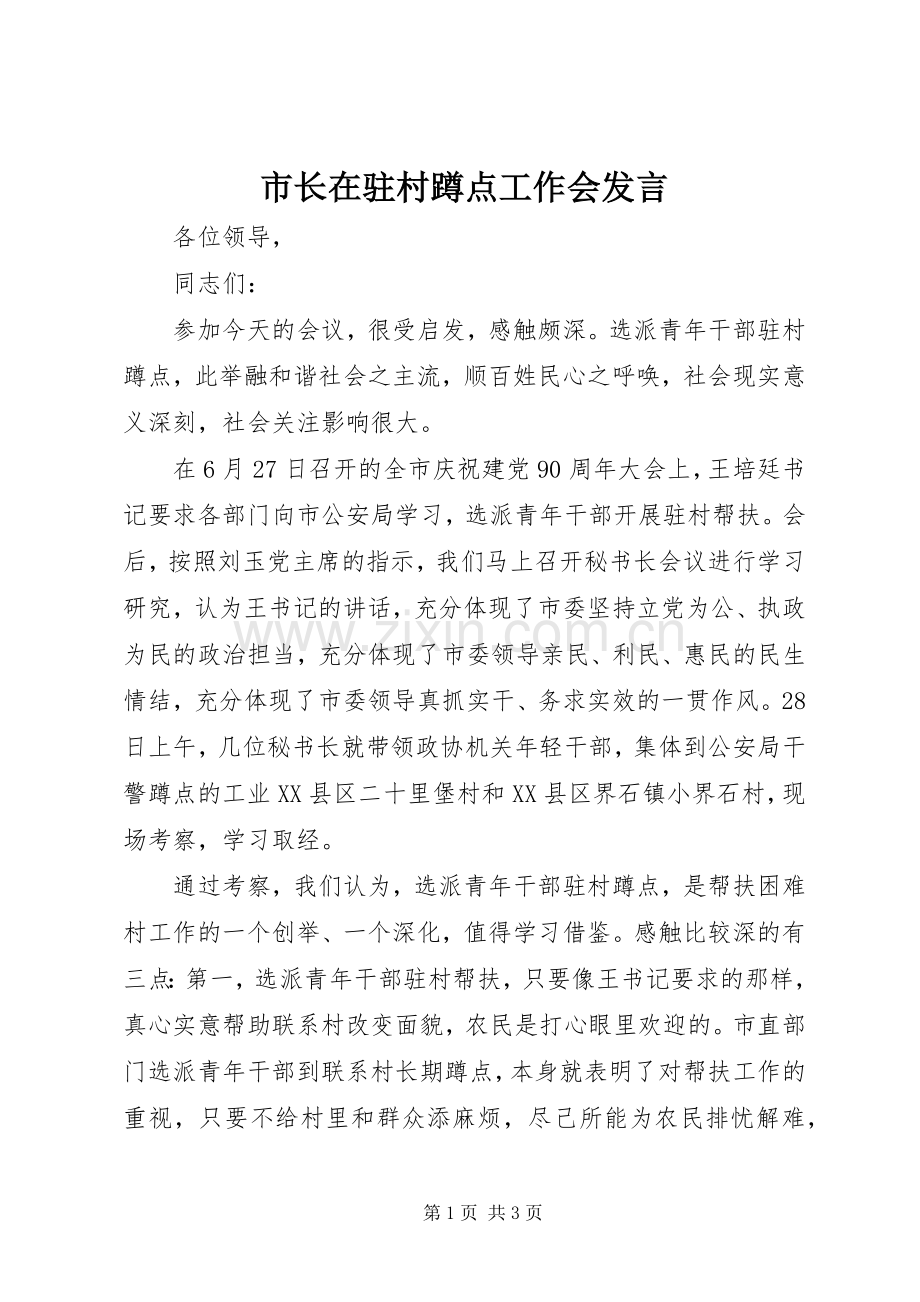 市长在驻村蹲点工作会发言.docx_第1页