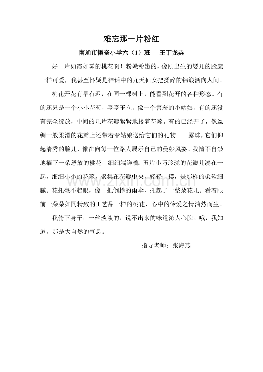 难忘那一片粉红.doc_第1页