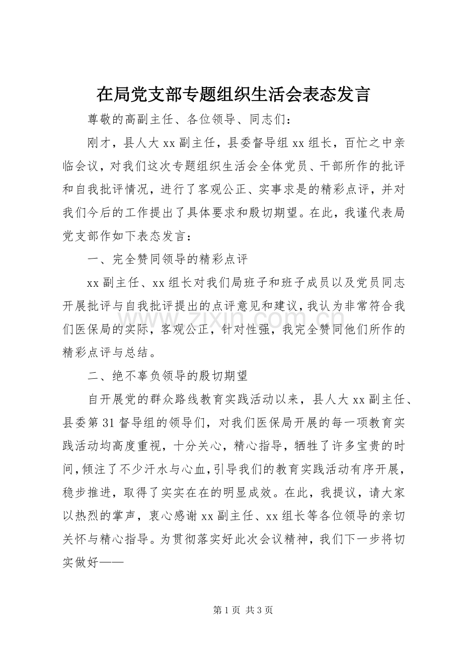 在局党支部专题组织生活会表态发言稿.docx_第1页