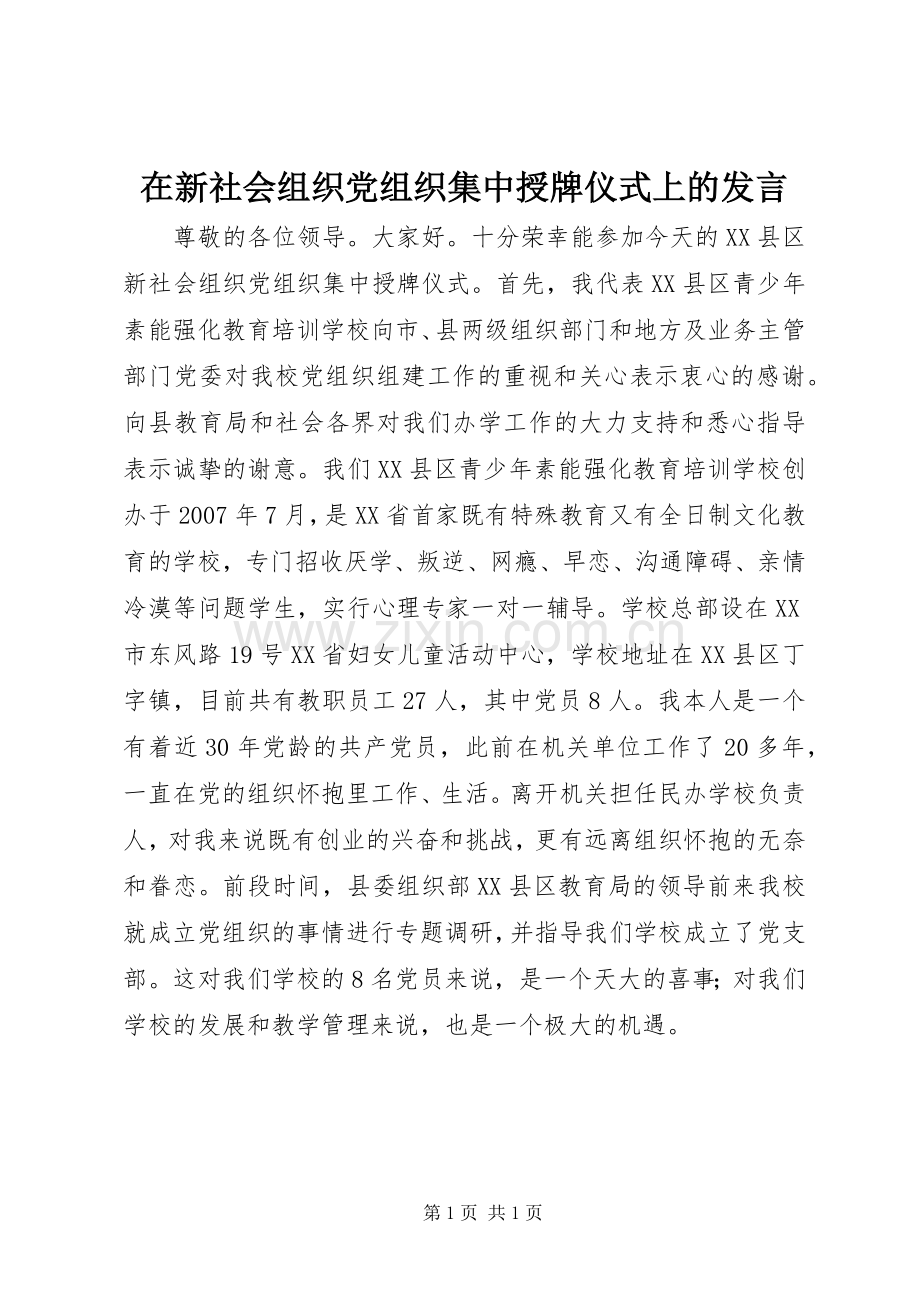 在新社会组织党组织集中授牌仪式上的发言稿.docx_第1页