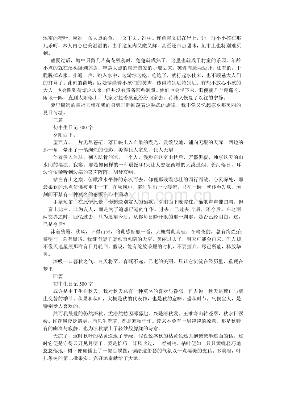 初中寒假日记500字作文600字.doc_第2页