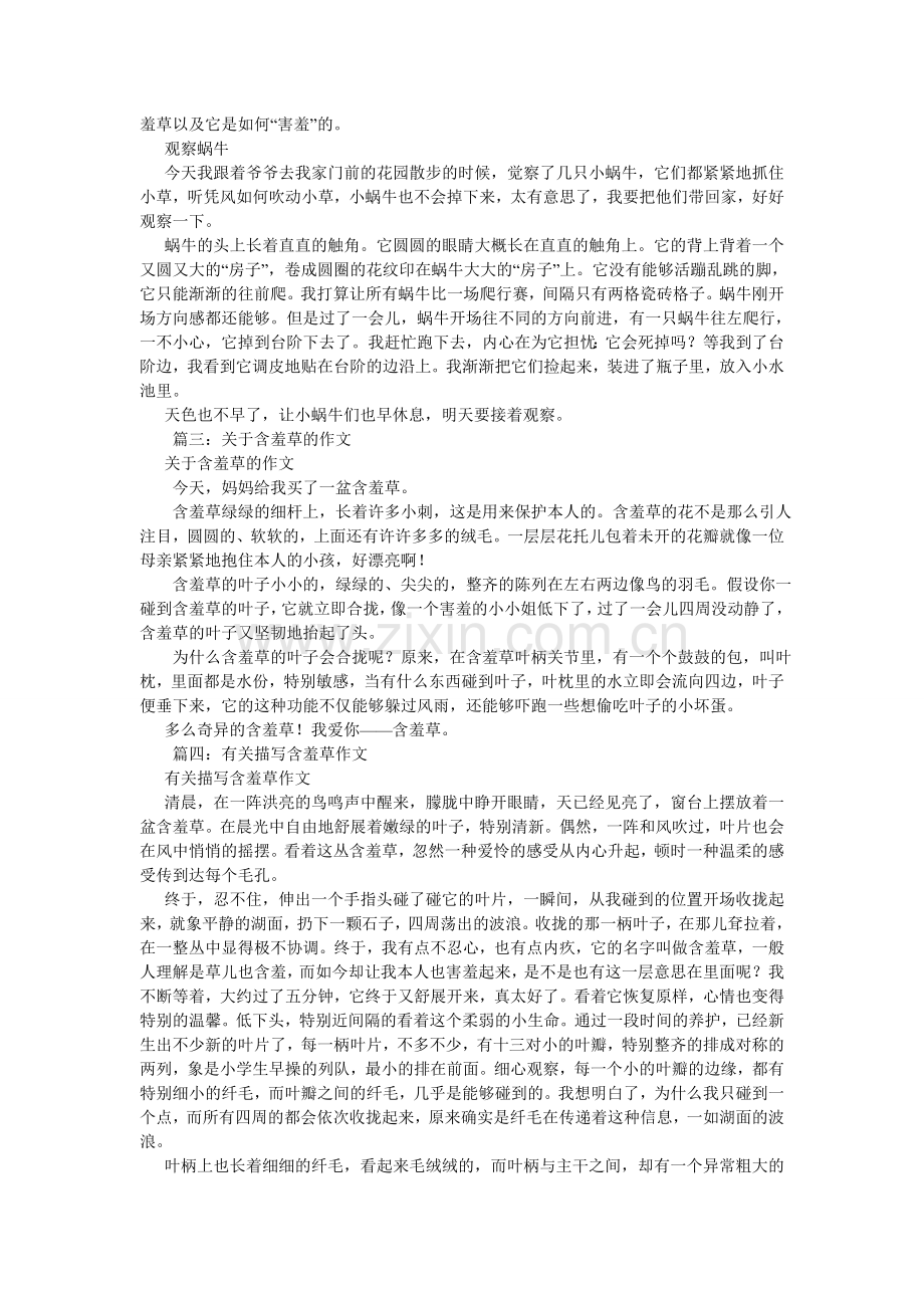 含羞草作文600字.doc_第2页