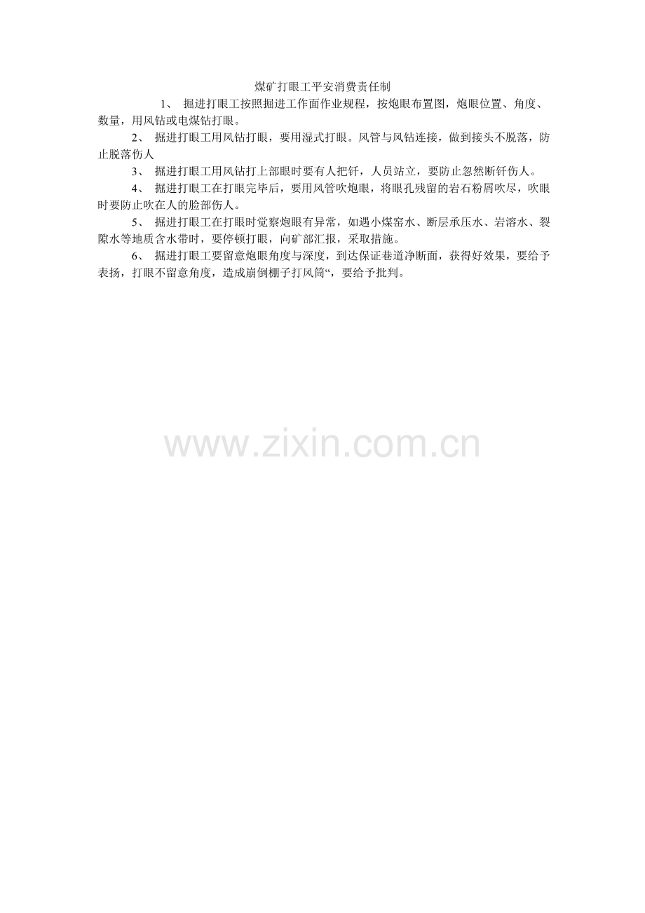 煤矿打眼工安全生产责任制.doc_第1页
