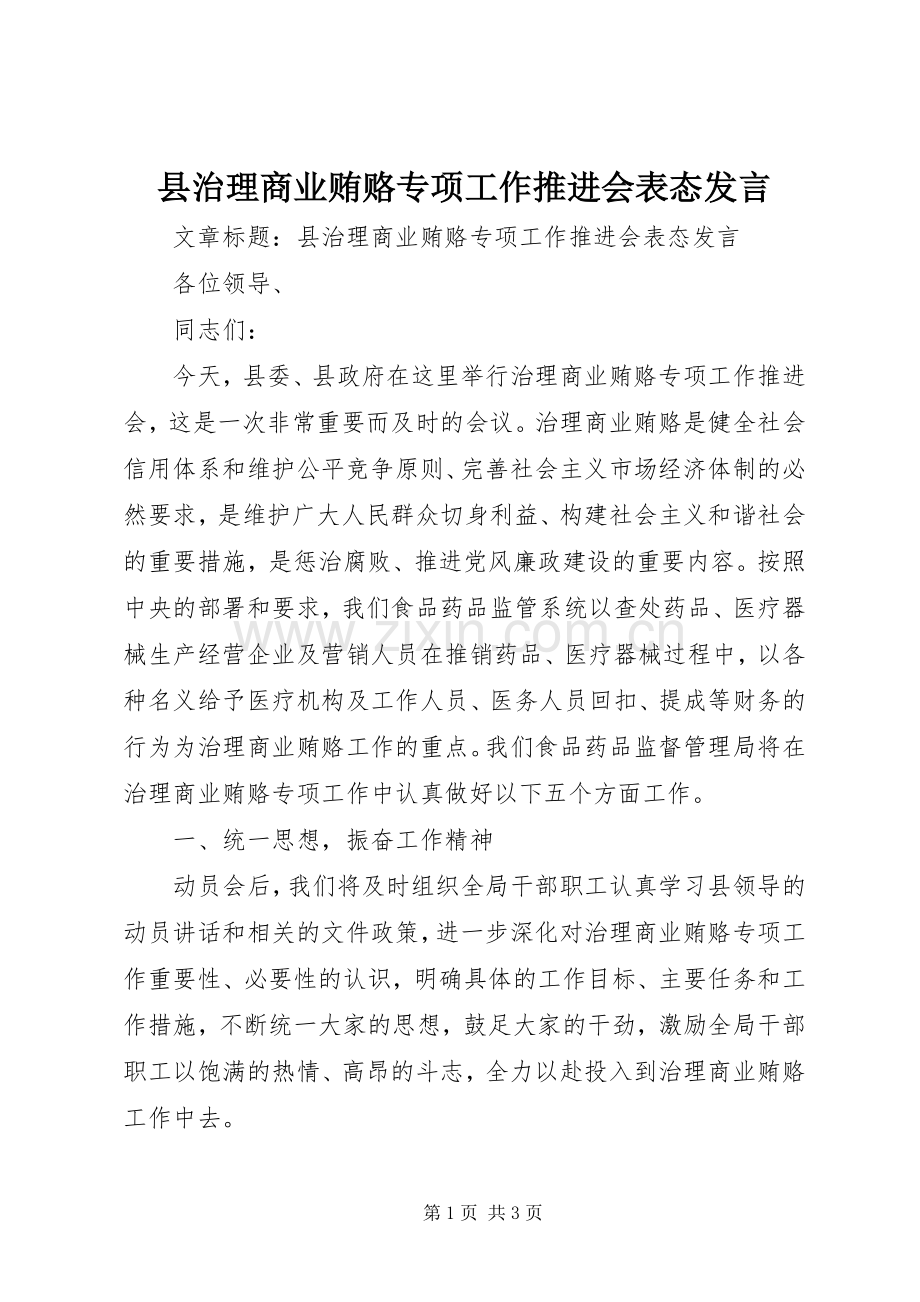 县治理商业贿赂专项工作推进会表态发言稿.docx_第1页