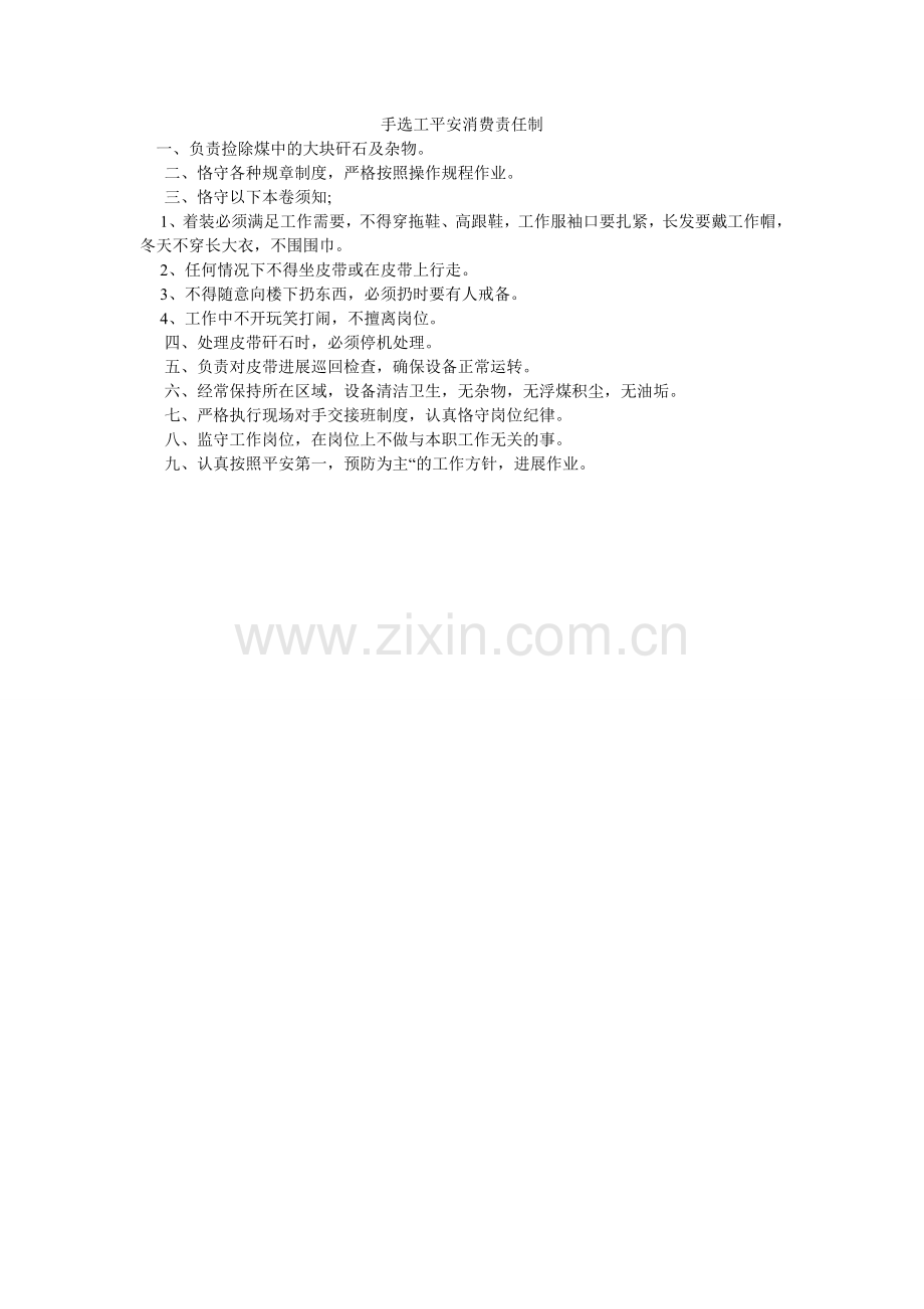 手选工ۥ安全生产责任制.doc_第1页