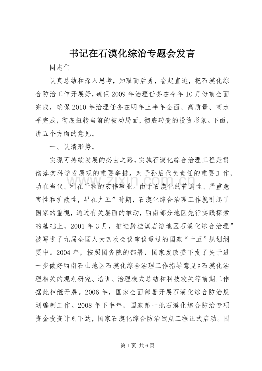书记在石漠化综治专题会发言稿.docx_第1页