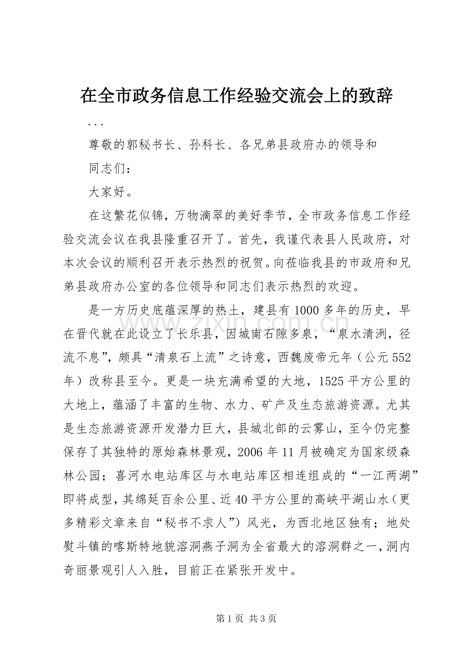 在全市政务信息工作经验交流会上的致辞演讲范文.docx_第1页