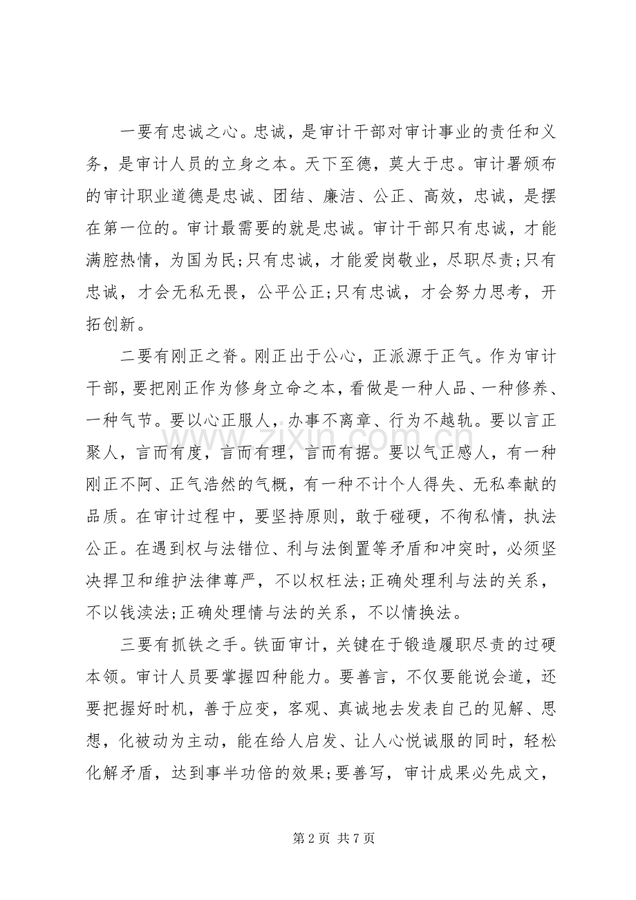 审计干部在严以律己研讨会上的发言.docx_第2页