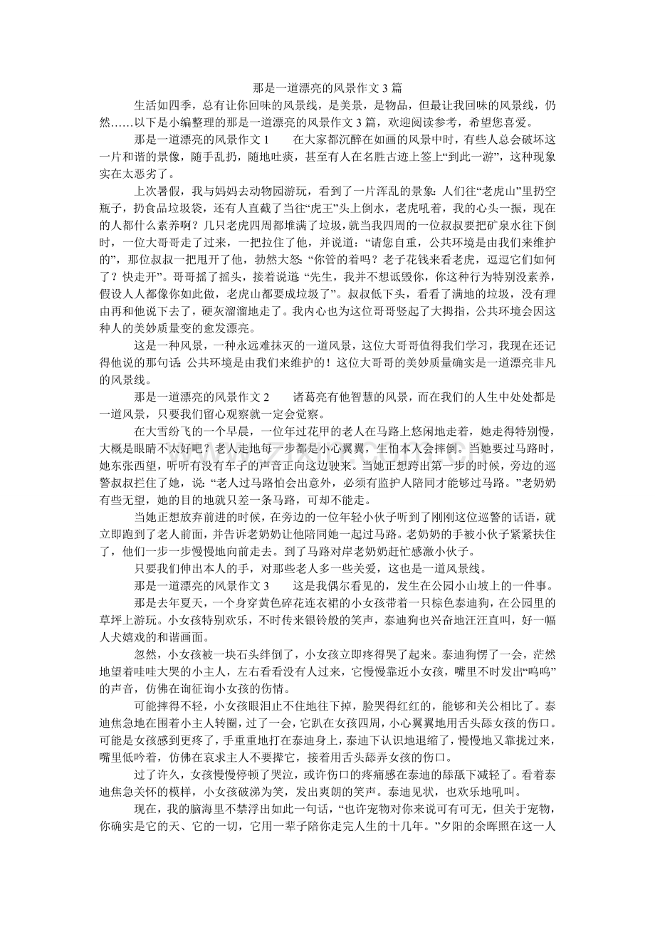 那是一道美丽的风景作文3篇.doc_第1页