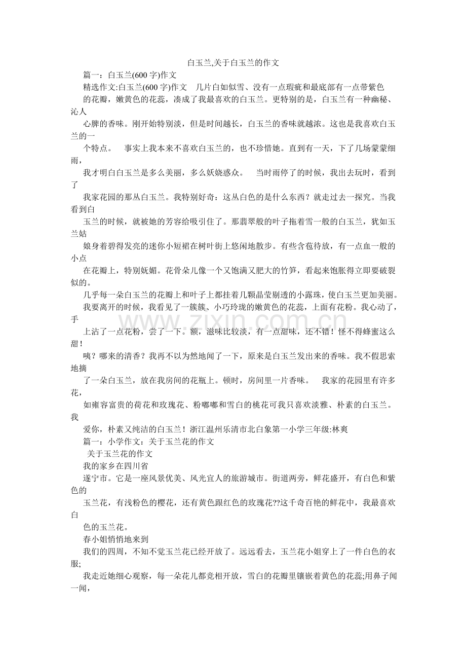 白玉兰,关于白玉兰的作文.doc_第1页