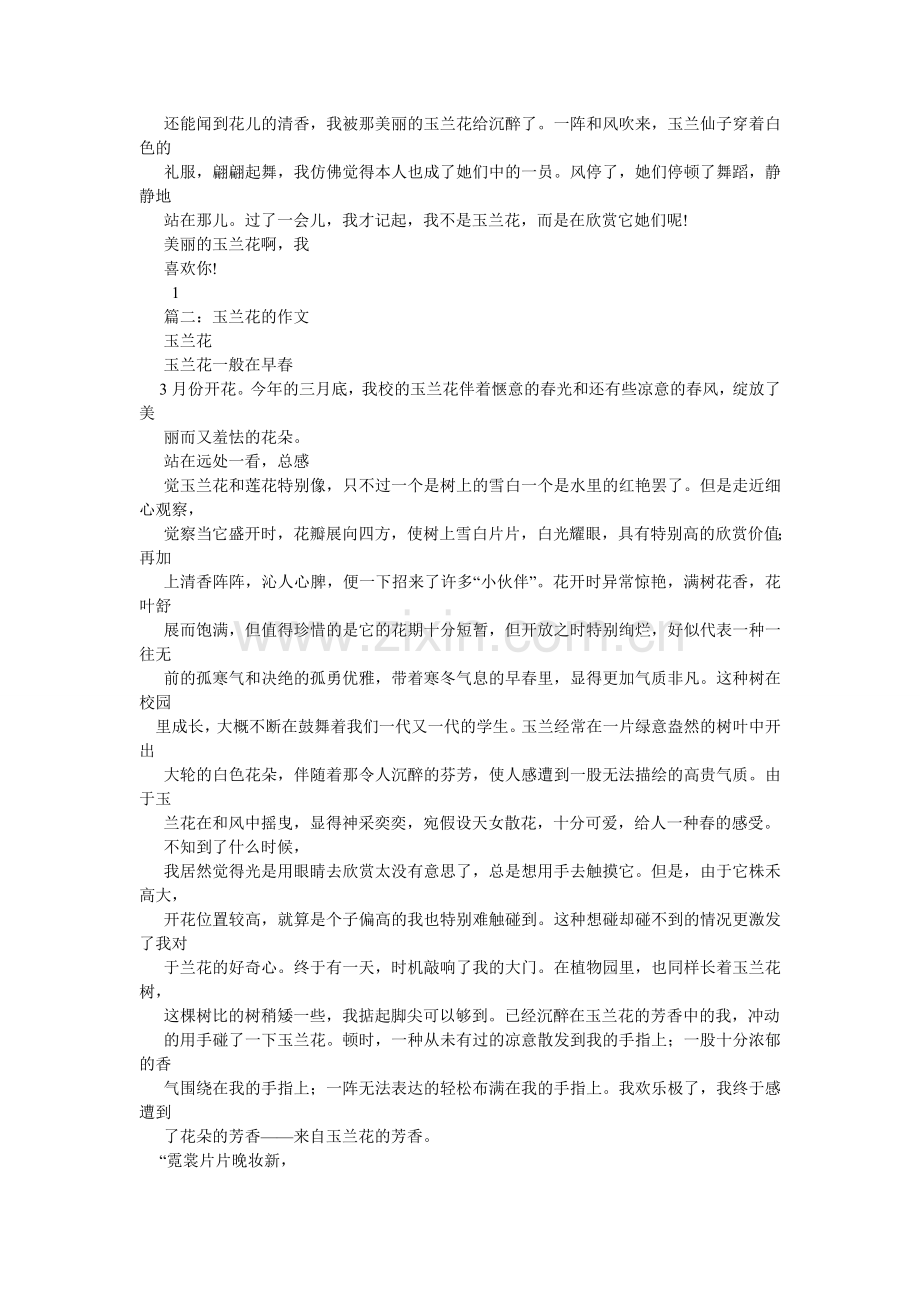 白玉兰,关于白玉兰的作文.doc_第2页