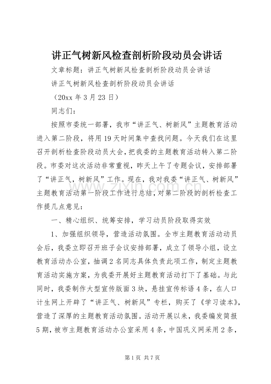 讲正气树新风检查剖析阶段动员会讲话.docx_第1页