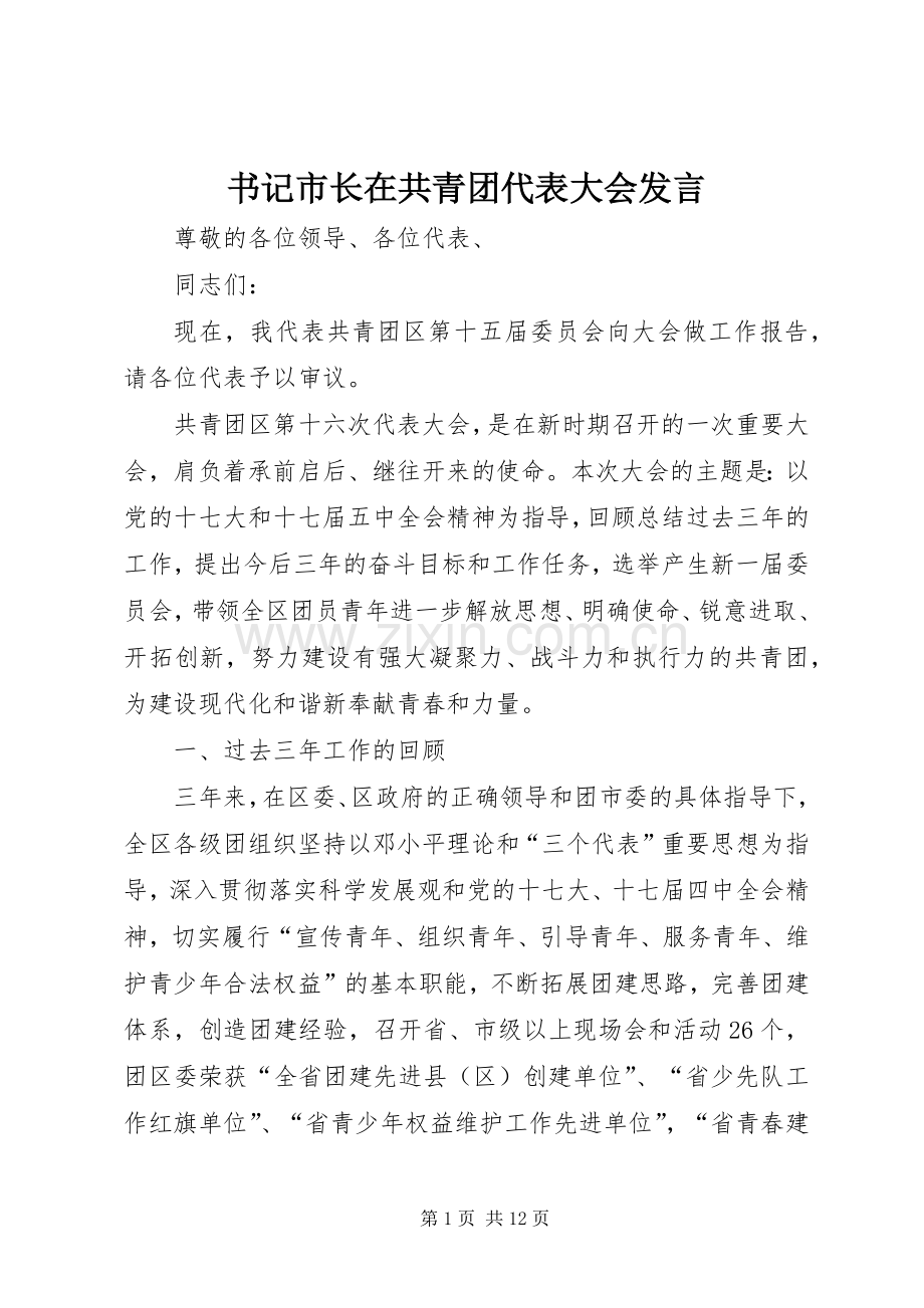 书记市长在共青团代表大会发言稿.docx_第1页