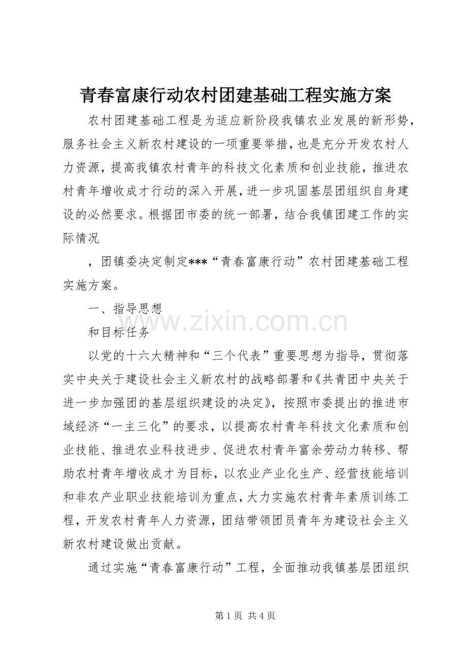 青春富康行动农村团建基础工程方案 .docx_第1页