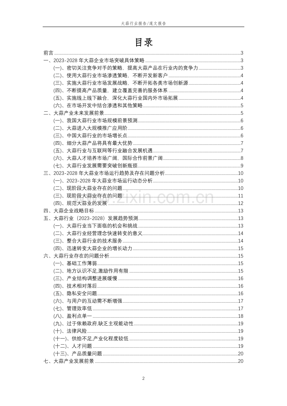 2023年大蒜行业分析报告及未来五至十年行业发展报告.doc_第2页